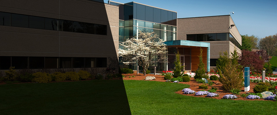 Sahuarita Landscapers