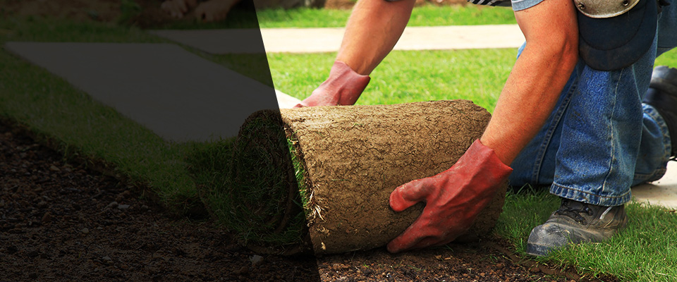 Sahuarita Landscapers